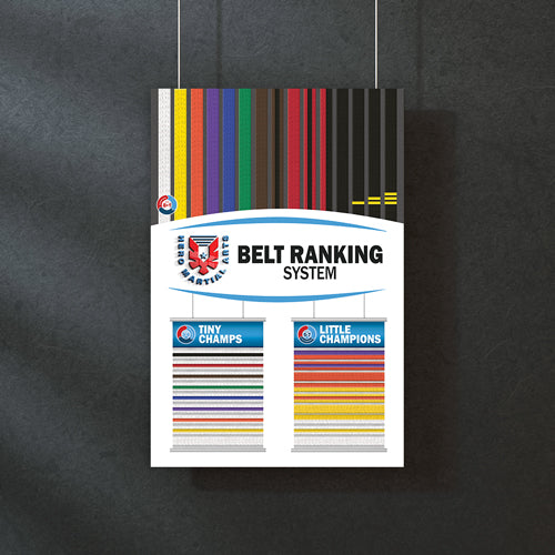 Hero Martial Arts Belt Ranking Poster