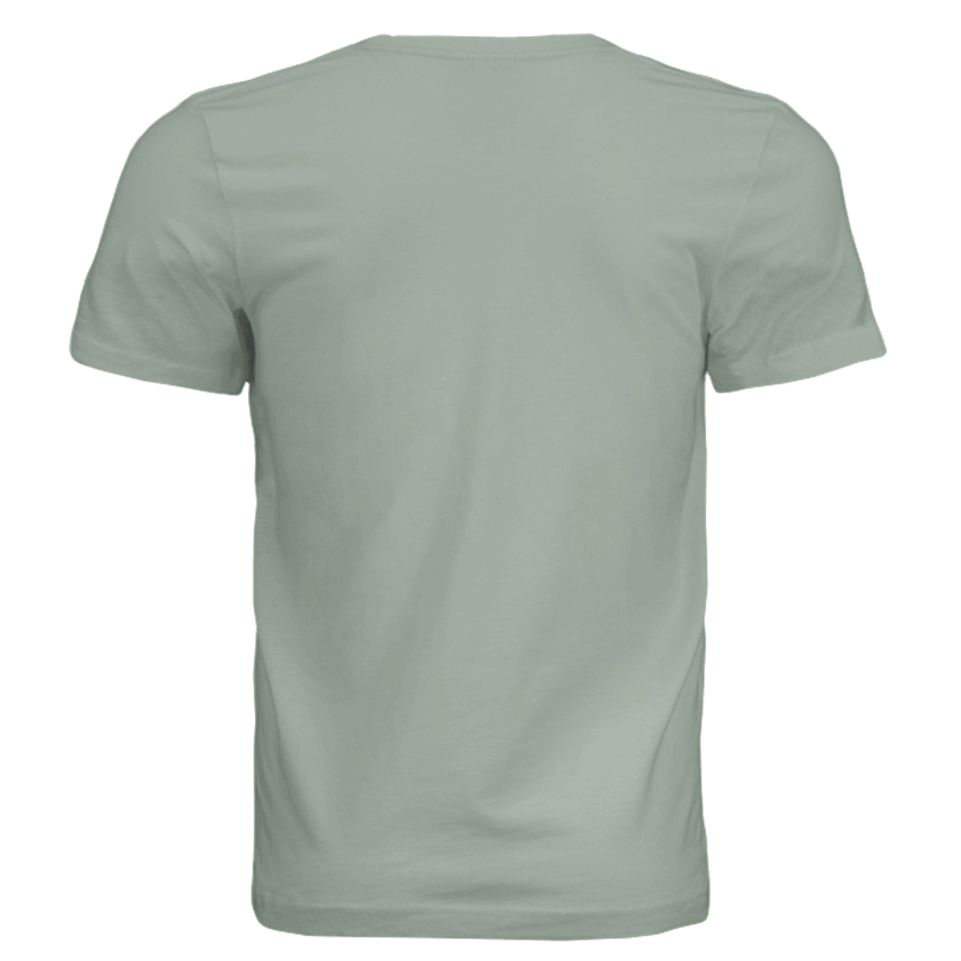 Dusty Blue - 3001C - BACK